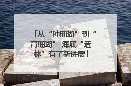 从“种珊瑚”到“育珊瑚” 海底“造林”有了新进展