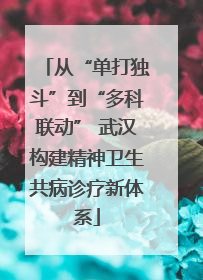 从“单打独斗”到“多科联动” 武汉构建精神卫生共病诊疗新体系