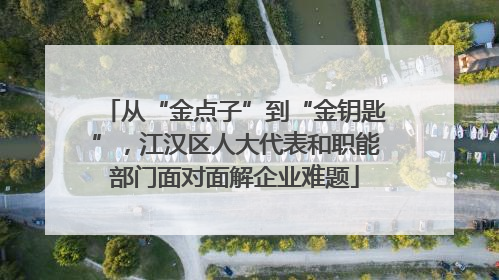 从“金点子”到“金钥匙”，江汉区人大代表和职能部门面对面解企业难题