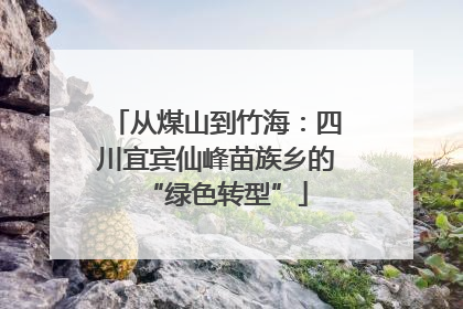 从煤山到竹海：四川宜宾仙峰苗族乡的“绿色转型”