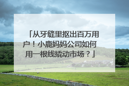 从牙缝里抠出百万用户！小鹿妈妈公司如何用一根线撬动市场？