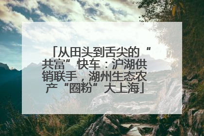 从田头到舌尖的“共富”快车：沪湖供销联手，湖州生态农产“圈粉”大上海