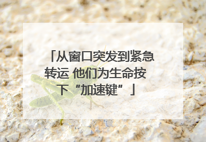 从窗口突发到紧急转运 他们为生命按下“加速键”