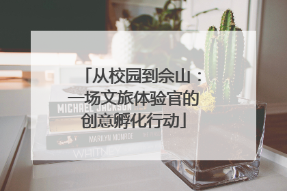 从校园到佘山：一场文旅体验官的创意孵化行动