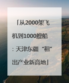从2000架飞机到1000艘船：天津东疆“租”出产业新高地