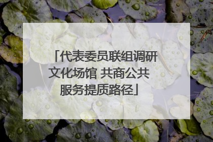 代表委员联组调研文化场馆 共商公共服务提质路径