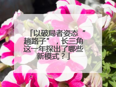 以破局者姿态“趟路子”，长三角这一年探出了哪些新模式？