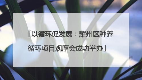 以循环促发展：耀州区种养循环项目观摩会成功举办