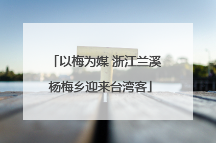以梅为媒 浙江兰溪杨梅乡迎来台湾客
