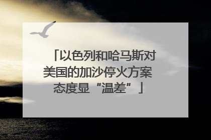以色列和哈马斯对美国的加沙停火方案态度显“温差”