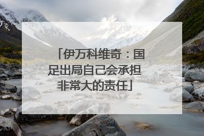 伊万科维奇：国足出局自己会承担非常大的责任