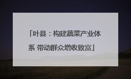 叶县：构建蔬菜产业体系 带动群众增收致富