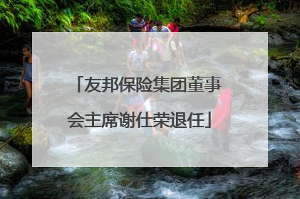 友邦保险集团董事会主席谢仕荣退任