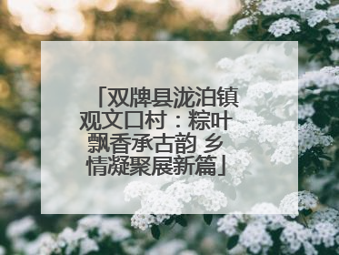 双牌县泷泊镇观文口村：粽叶飘香承古韵 乡情凝聚展新篇