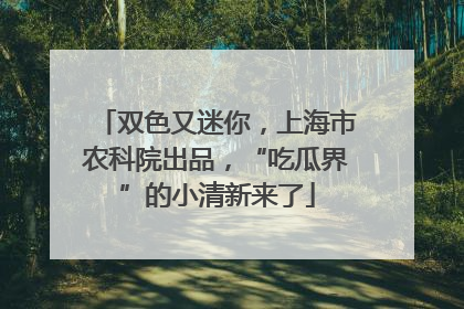 双色又迷你，上海市农科院出品，“吃瓜界”的小清新来了