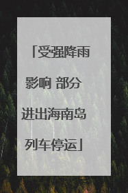 受强降雨影响 部分进出海南岛列车停运