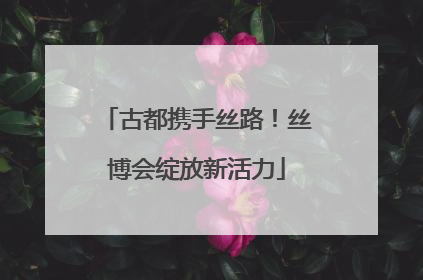 古都携手丝路！丝博会绽放新活力