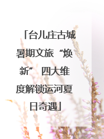 台儿庄古城暑期文旅“焕新” 四大维度解锁运河夏日奇遇