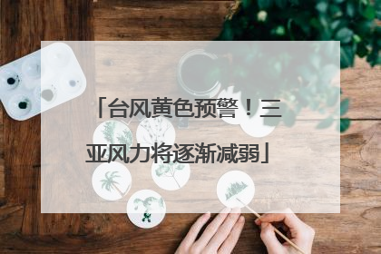台风黄色预警！三亚风力将逐渐减弱