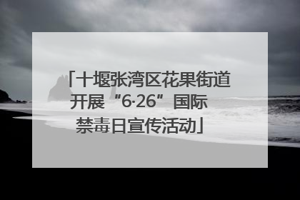 十堰张湾区花果街道开展“6·26”国际禁毒日宣传活动