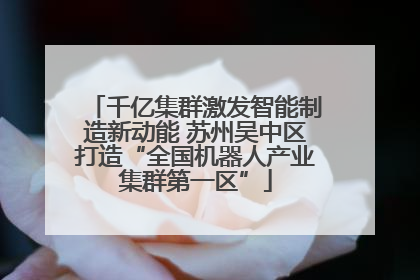 千亿集群激发智能制造新动能 苏州吴中区打造“全国机器人产业集群第一区”