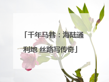 千年马巷：海陆通利地 丝路写传奇