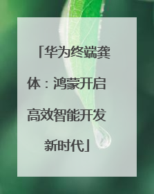 华为终端龚体：鸿蒙开启高效智能开发新时代