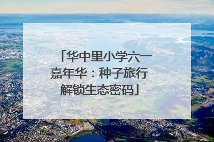 华中里小学六一嘉年华：种子旅行解锁生态密码