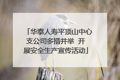 华泰人寿平顶山中心支公司多措并举  开展安全生产宣传活动