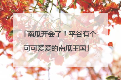南瓜开会了！平谷有个可可爱爱的南瓜王国