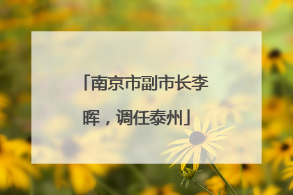 南京市副市长李晖，调任泰州