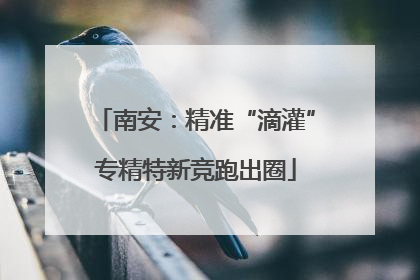 南安：精准“滴灌”专精特新竞跑出圈