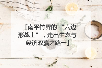 南平竹界的 “六边形战士”，走出生态与经济双赢之路→