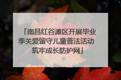 南昌红谷滩区开展毕业季关爱留守儿童普法活动 筑牢成长防护网