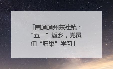 南通通州东社镇：“五一”返乡，党员们“归巢”学习
