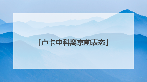卢卡申科离京前表态