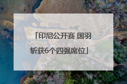 印尼公开赛 国羽斩获6个四强席位