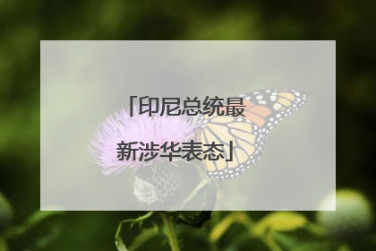 印尼总统最新涉华表态