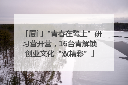 厦门“青春在鹭上”研习营开营，16台青解锁创业文化“双精彩”