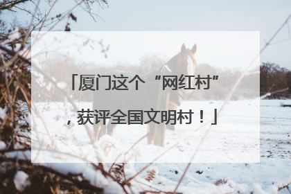 厦门这个“网红村”，获评全国文明村！