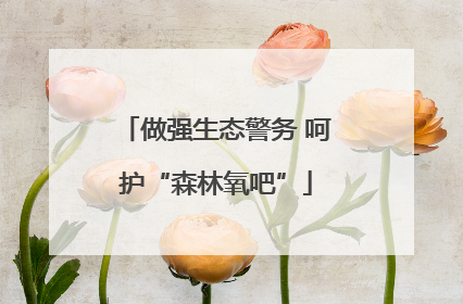 做强生态警务 呵护“森林氧吧”