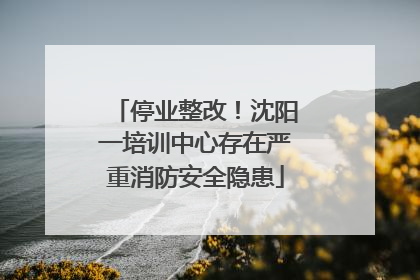 停业整改！沈阳一培训中心存在严重消防安全隐患