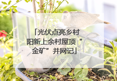 光伏点亮乡村 阳新上余村屋顶“金矿”并网记