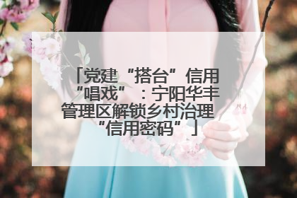 党建“搭台”信用“唱戏”：宁阳华丰管理区解锁乡村治理“信用密码”
