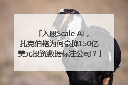 入股Scale AI，扎克伯格为何豪掷150亿美元投资数据标注公司？