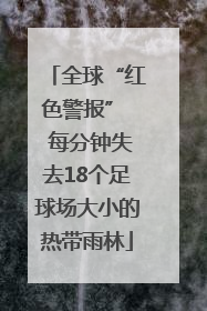 全球“红色警报”  每分钟失去18个足球场大小的热带雨林