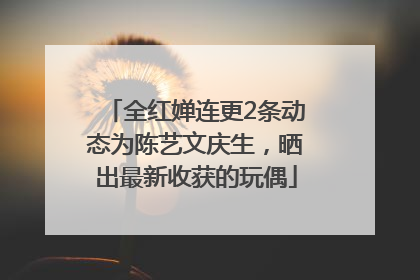 全红婵连更2条动态为陈艺文庆生，晒出最新收获的玩偶