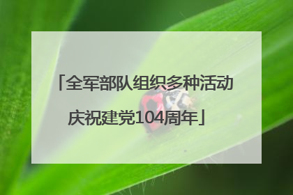 全军部队组织多种活动庆祝建党104周年
