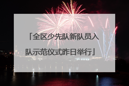 全区少先队新队员入队示范仪式昨日举行
