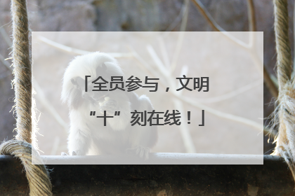 全员参与，文明“十”刻在线！